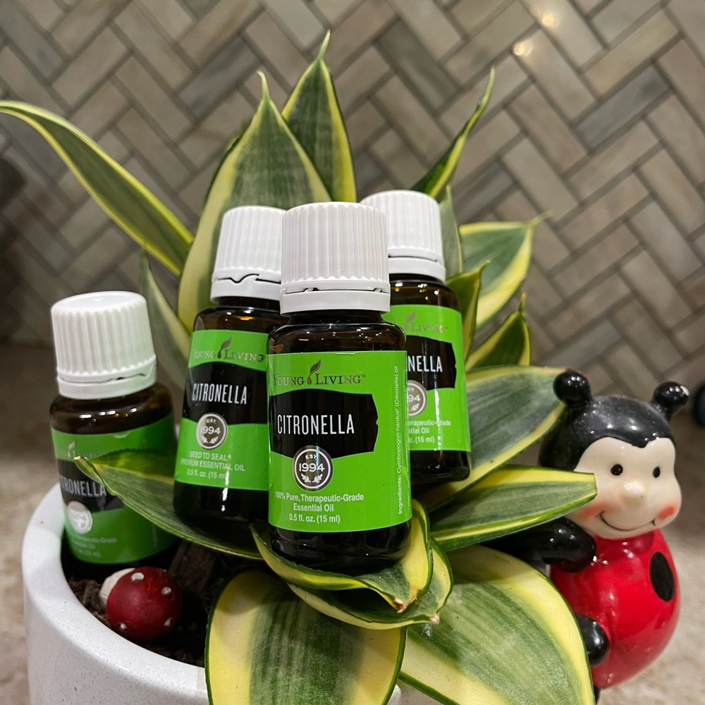 Young Living Citronella Essential Oils